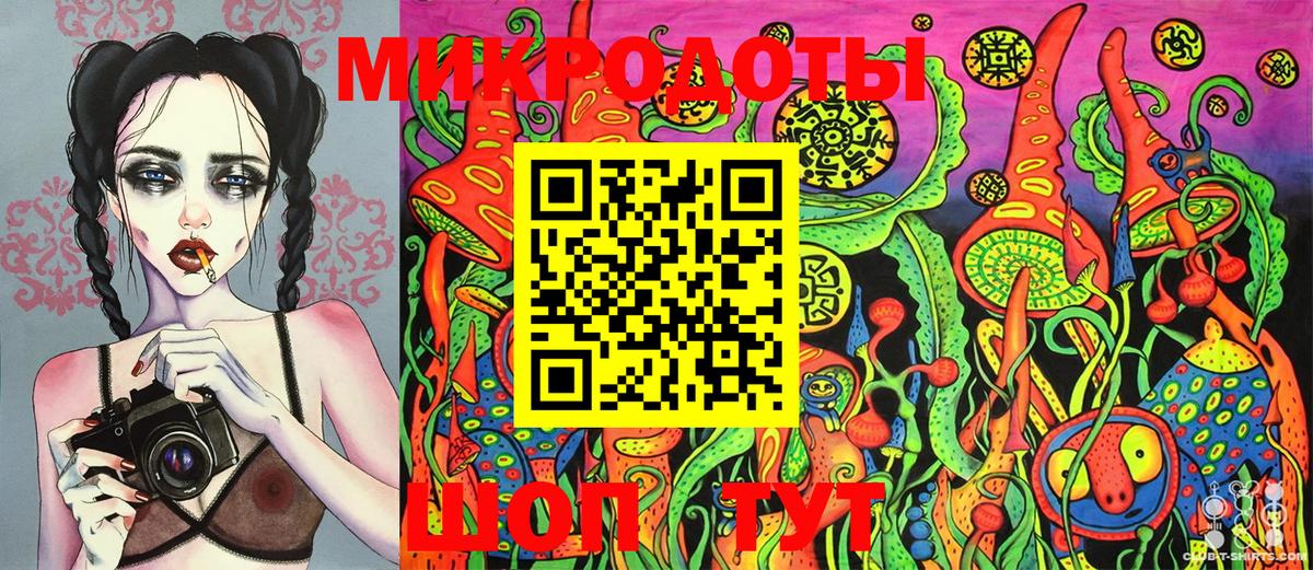 Псилоцибиновые грибы прущие грибы Большой Камень