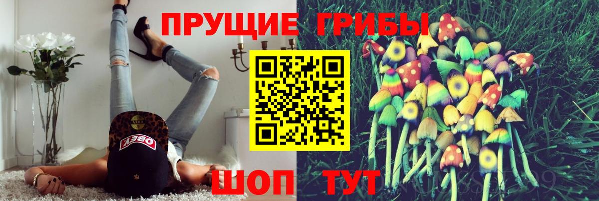 где купить наркоту  Вход с VPN  Большой Камень  Галлюциногенные грибы мухоморы 